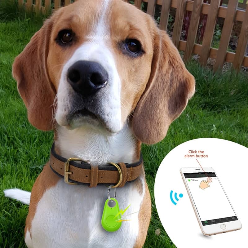 Bluetooth and GPS Pet Wireless Tracker (Buy 1 Get 1 Free)