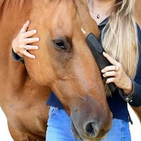 Thumbnail for 6-In-1 Shedding Grooming Massage Brush (Suitable for Horses, Dogs and Cats)